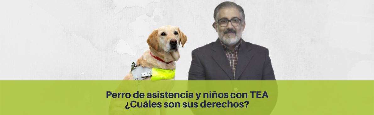 Perros de asistencia y niños con TEA